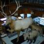 park_museum.jpg